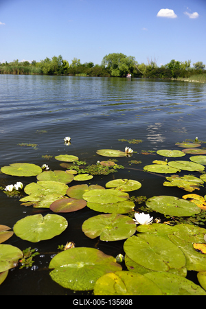 Tisza-tó-stock-foto