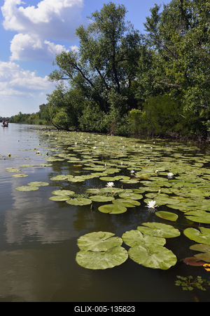 Tisza-tó-stock-foto