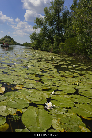 Tisza-tó-stock-foto
