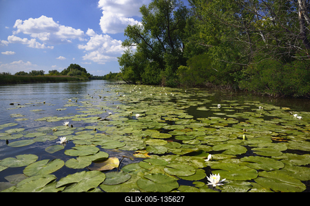 Tisza-tó-stock-foto