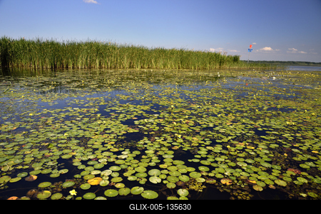 Tisza-tó-stock-foto