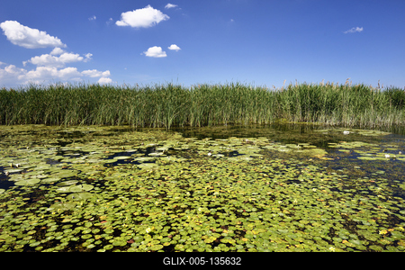 Tisza-tó-stock-foto