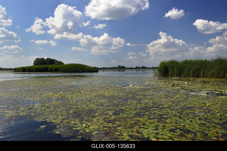 Tisza-tó-stock-foto