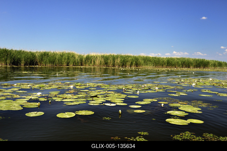 Tisza-tó-stock-foto