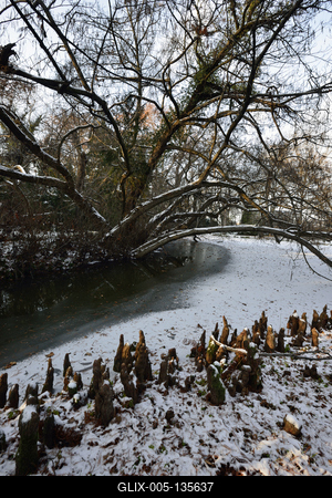 Vácrátót-stock-foto