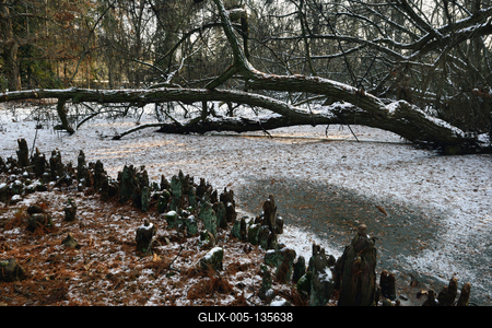 Vácrátót-stock-foto