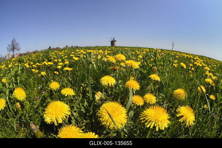 Tési szélmalom-stock-foto