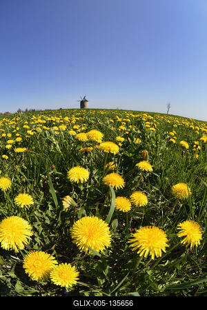 Tési szélmalom-stock-foto