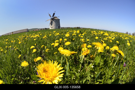 Tési szélmalom-stock-foto