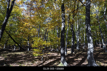 Kőszegi-hegység-stock-foto