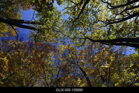Kőszegi-hegység-stock-foto