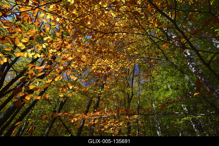 Kőszegi-hegység-stock-foto