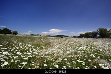 Tihanyi-félsziget-stock-foto