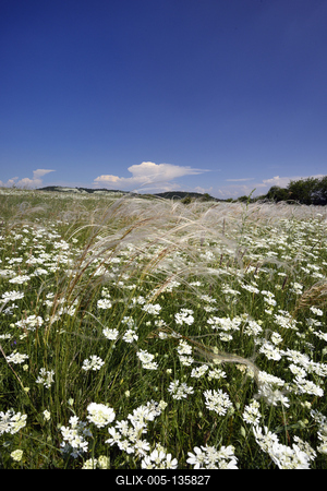Tihanyi-félsziget-stock-foto