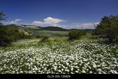 Tihanyi-félsziget-stock-foto