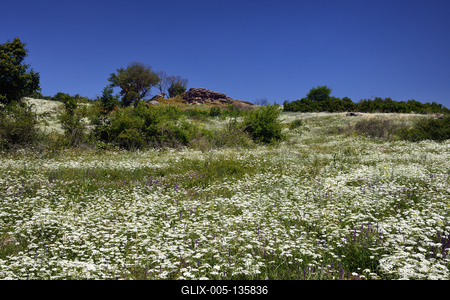 Tihanyi-félsziget-stock-foto