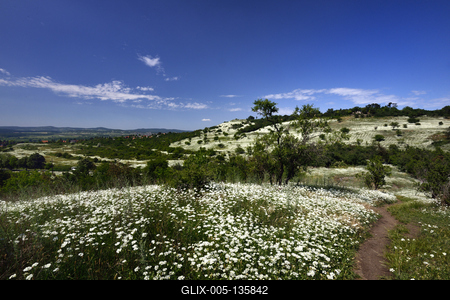 Tihanyi-félsziget-stock-foto