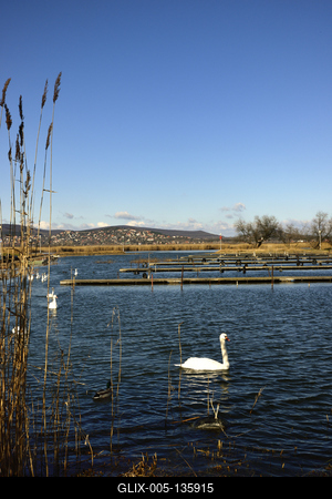 Velencei-tó-stock-foto