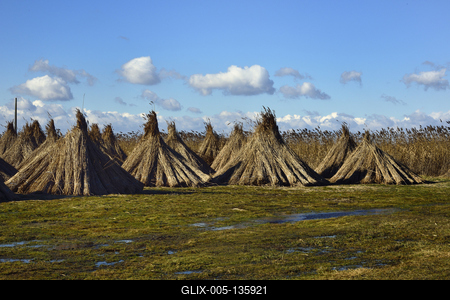 Velencei-tó-stock-foto