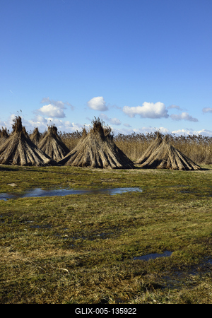 Velencei-tó-stock-foto