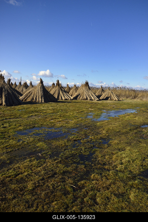 Velencei-tó-stock-foto