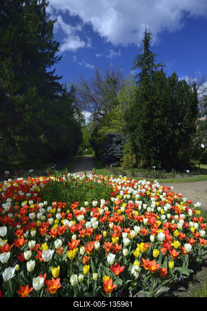 Vácrátót-stock-foto