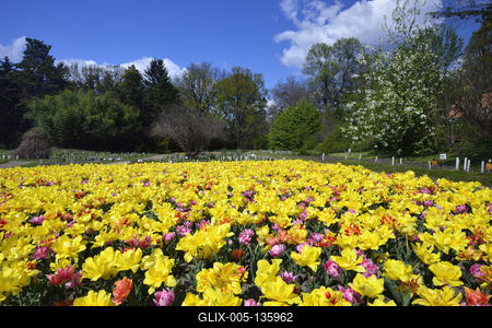 Vácrátót-stock-foto