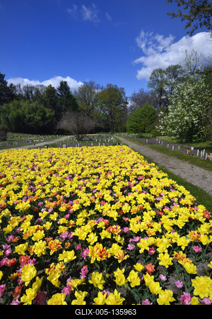 Vácrátót-stock-foto