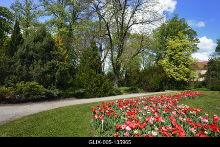 Vácrátót-stock-foto