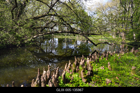 Vácrátót-stock-foto