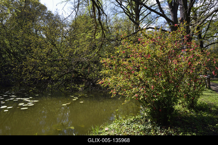 Vácrátót-stock-foto