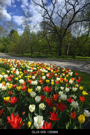 Vácrátót-stock-foto
