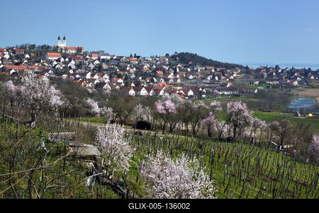 Tihanyi-félsziget-stock-foto
