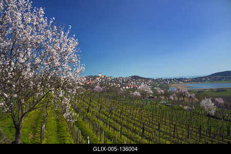 Tihanyi-félsziget-stock-foto
