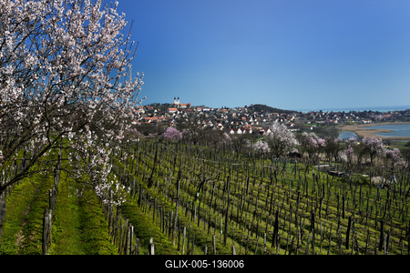 Tihanyi-félsziget-stock-foto