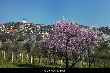 Tihanyi-félsziget-stock-foto