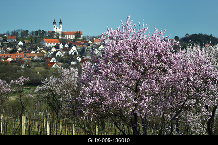 Tihanyi-félsziget-stock-foto