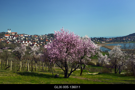 Tihanyi-félsziget-stock-foto