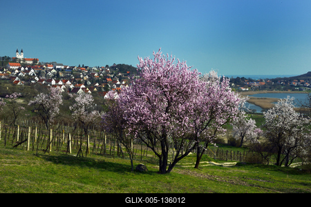 Tihanyi-félsziget-stock-foto