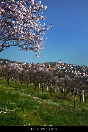 Tihanyi-félsziget-stock-foto