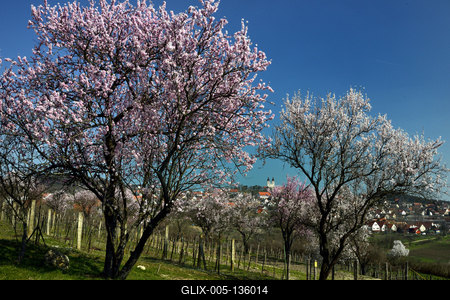 Tihanyi-félsziget-stock-foto