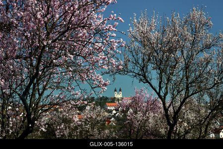 Tihanyi-félsziget-stock-foto