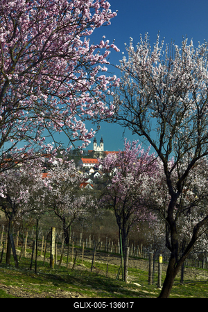 Tihanyi-félsziget-stock-foto