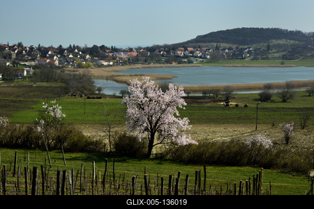 Tihanyi-félsziget-stock-foto