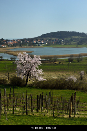 Tihanyi-félsziget-stock-foto
