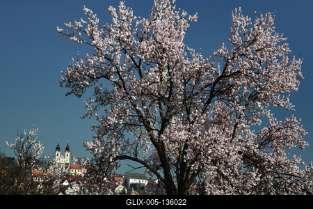 Tihanyi-félsziget-stock-foto