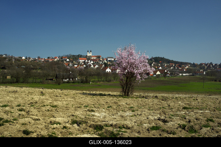 Tihanyi-félsziget-stock-foto