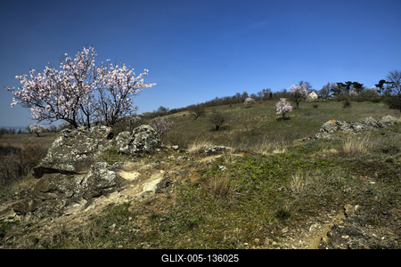 Tihanyi-félsziget-stock-foto
