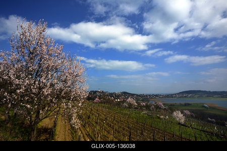 Tihanyi-félsziget-stock-foto