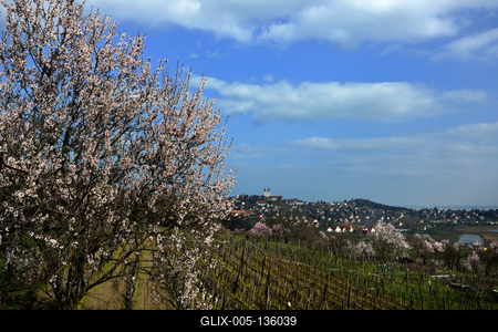 Tihanyi-félsziget-stock-foto